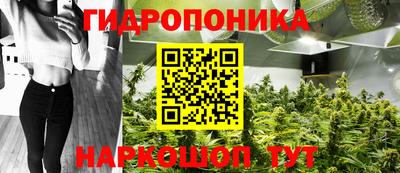 дурь Гудермес