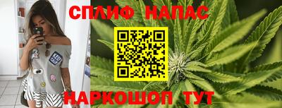 МДПВ Будённовск