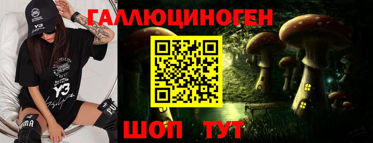 Реутов  Псилоцибиновые грибы Psilocybe  Вход с VPN 